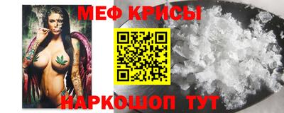 крисы Моздок