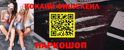 крисы Моздок