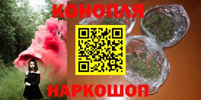 крисы Моздок