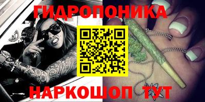 крисы Моздок