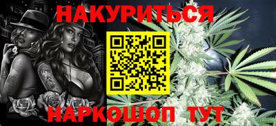 крисы Моздок