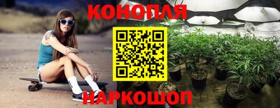 крисы Моздок