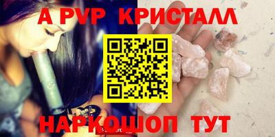 крисы Моздок